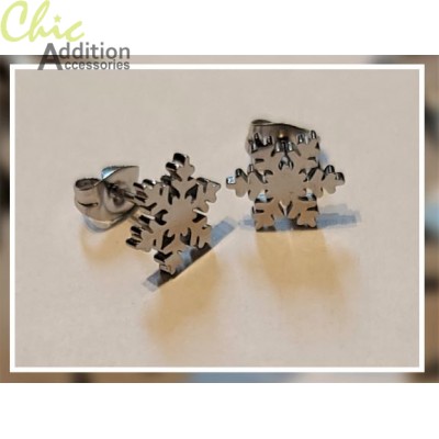 Earrings ER21-050142
